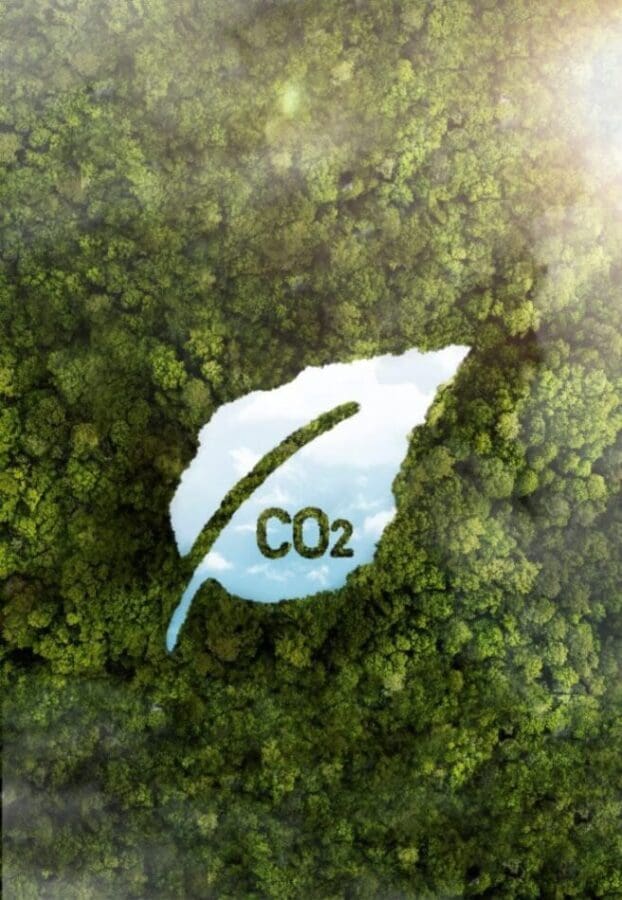 Image: View of green forest trees with CO2