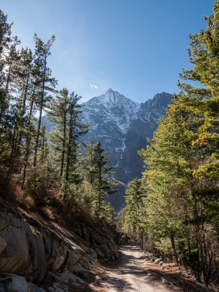 Image: mountains, forest (s. Climate Change, Amazon rainforest, Tibetan Plateau)