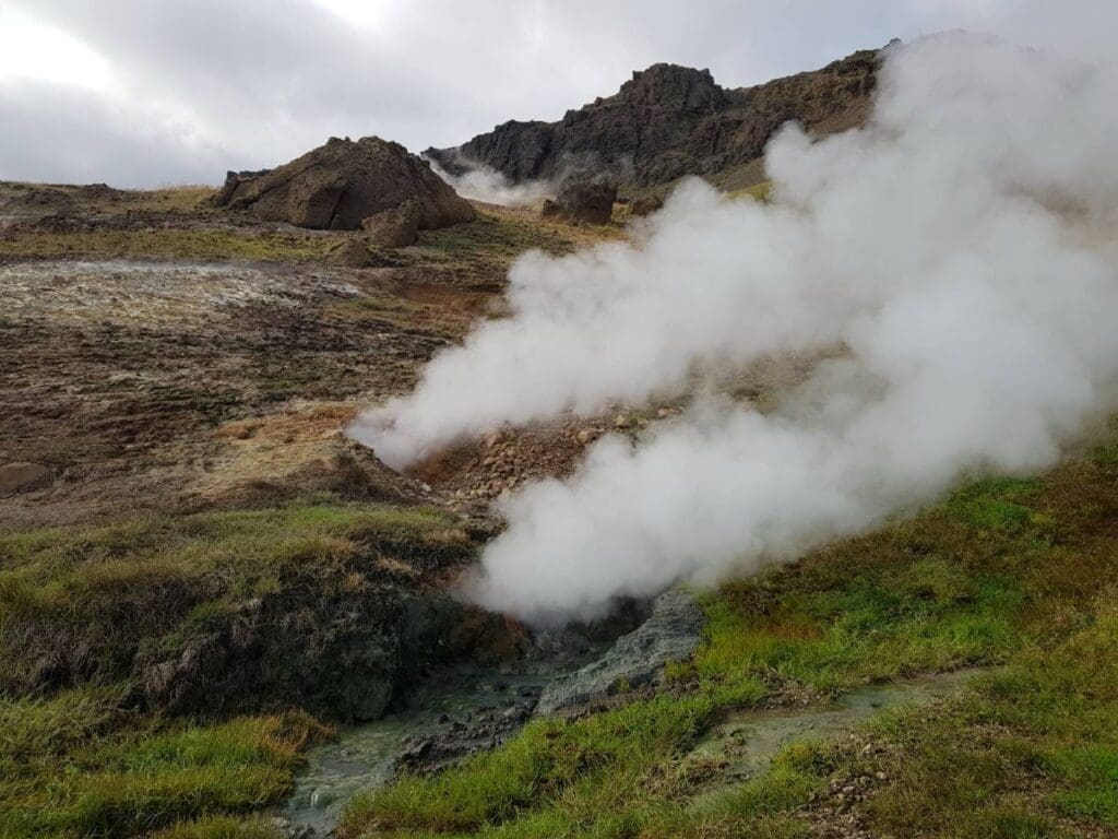 Subarctic grassland field in Iceland (global warming and soil bacteria)