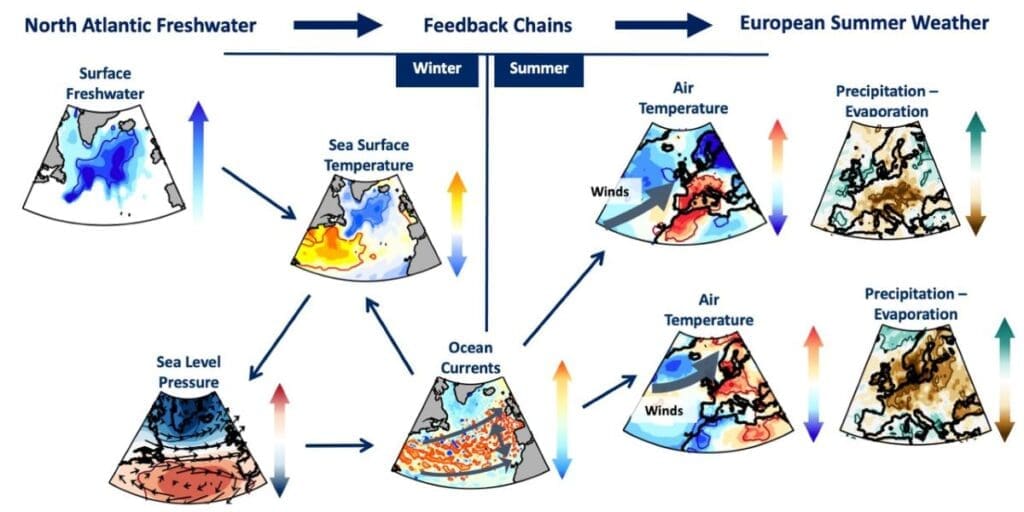 feedback chains 2 res