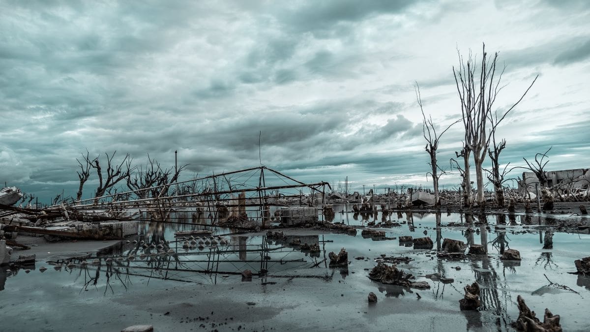 Landscape of building ruins and bare trees in the water under a cloudy sky on a gloomy day - Climate Change