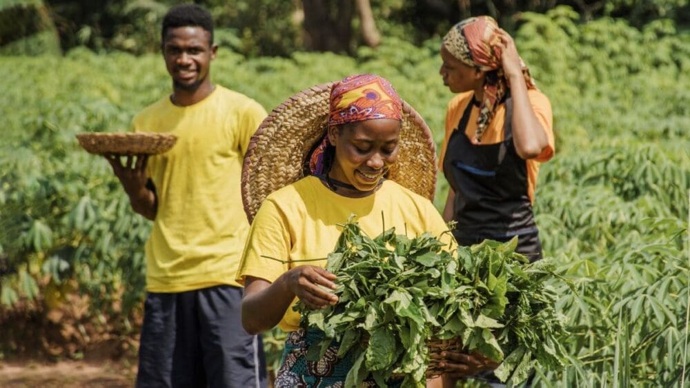 Image: People out in the field