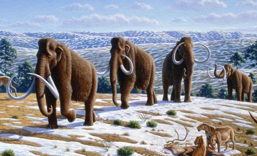 Ice age climate analysis reduces worst-case warming expected from rising CO2 Image: artist’s rendition shows woolly mammoths