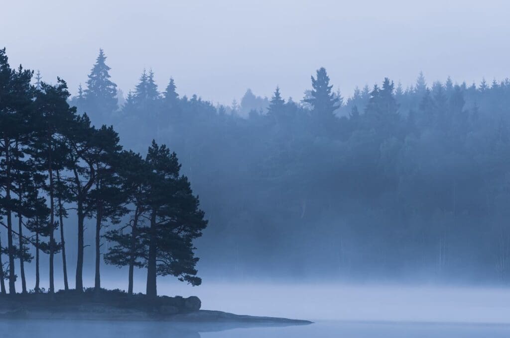 Boreal forests and tundra regions face severe impact over next 500 years of climate change, study reveals Image: trees, lake, foggy day