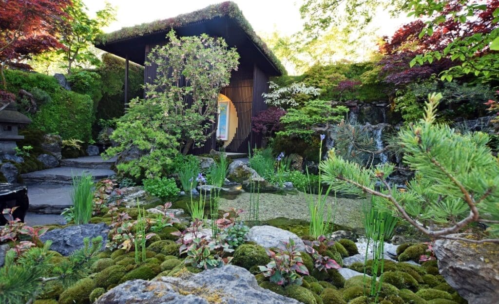 Changing climate influences London's Chelsea Flower Show 53114882572 5336f84548 k res