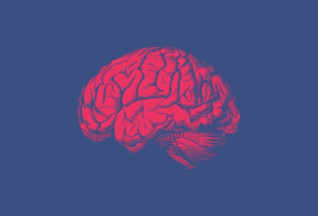 Study suggests that air pollution promotes inflammation in the brain, accelerating cognitive decline and increasing risk of dementia Brain Vintage Illustration of Red Brain on Blue Background res