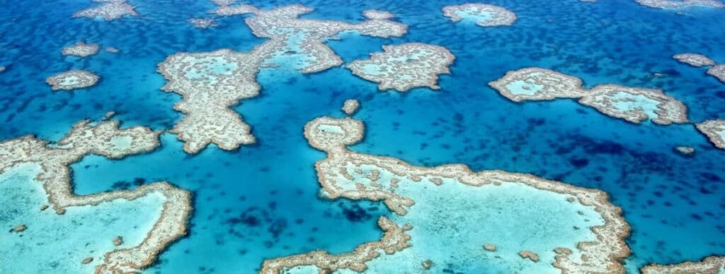 Great Barrier Reef Airlie beach Queensland i 2018. Af Ayanadak123. CC BY SA 4.0 res