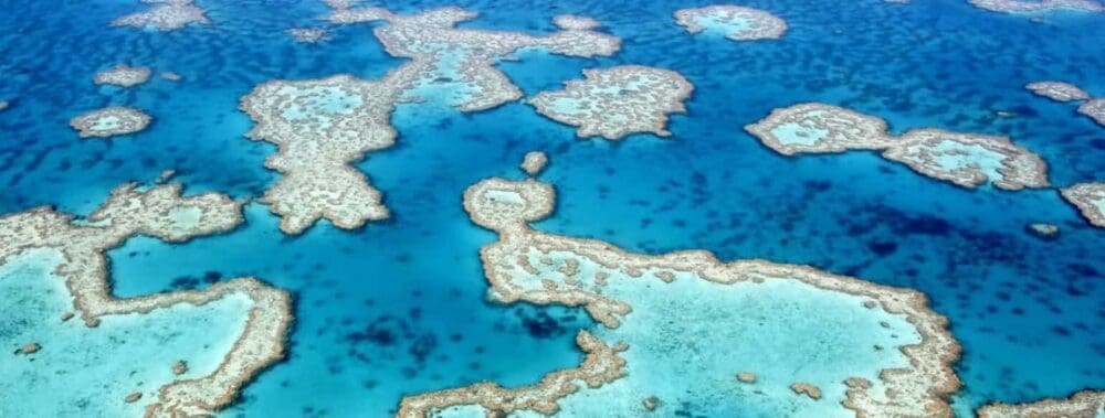 Image: Great Barrier Reef