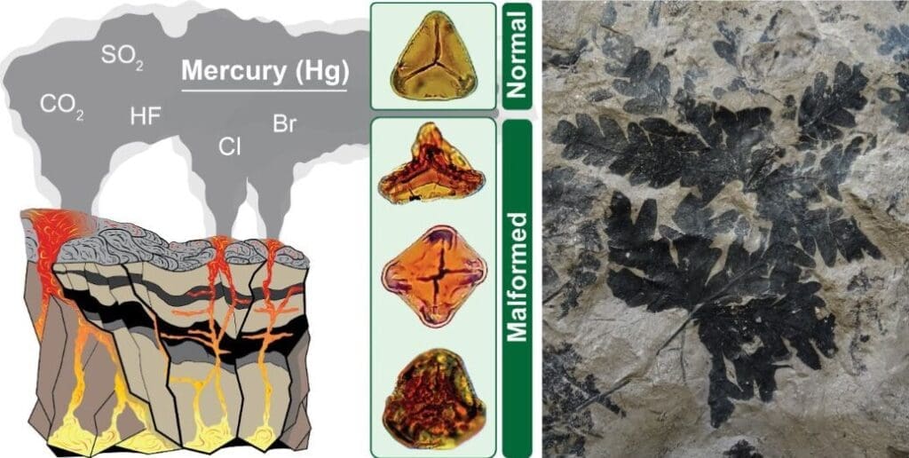 Image: Schematic scenario for flood basalt eruptions at the Triassic-Jurassic boundary (s. climate change, mercury)