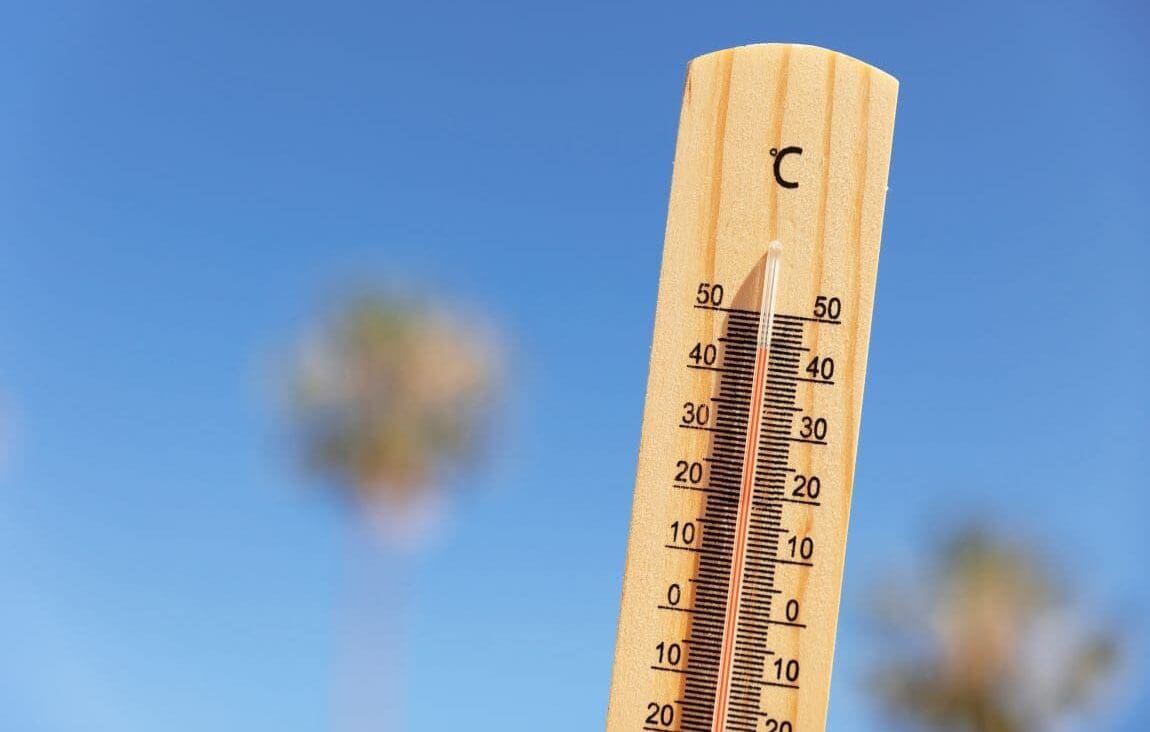 Summer 2023 was the hottest in 2,000 years: study