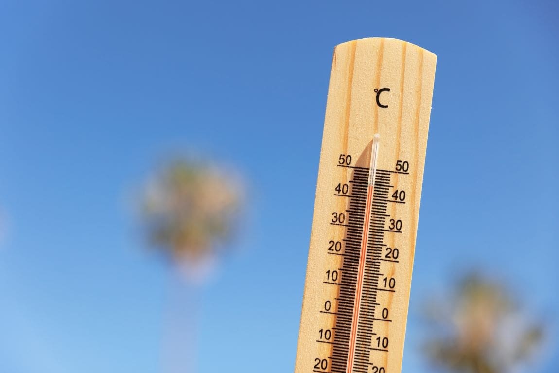 Summer 2023 was the hottest in 2,000 years: study