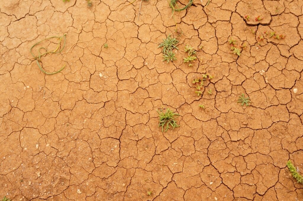 Warming climate intensifies flash droughts worldwide closeup shot cracked ground surface res