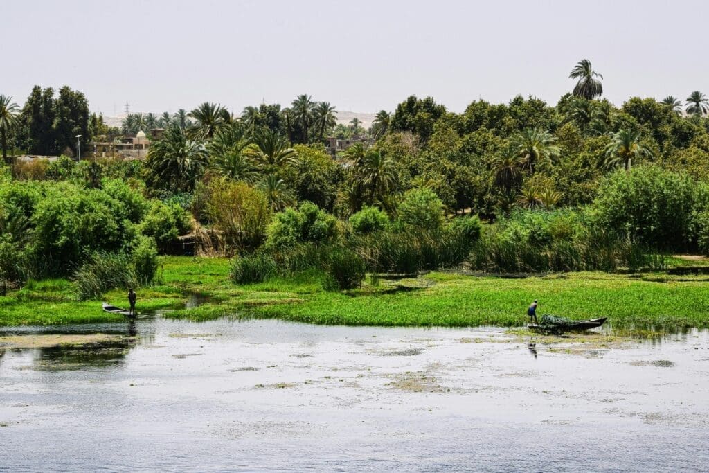 Mapping malaria in Africa: climate change study predicts where mosquitoes will breed in future pexels axp photography 500641970 18934576 res