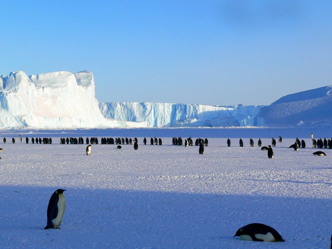 Record low Antarctic sea ice ‘extremely unlikely’ without climate change