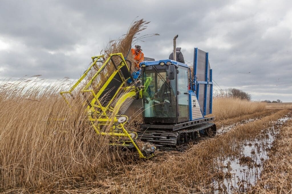 Image: Agronomic machine harvesting
