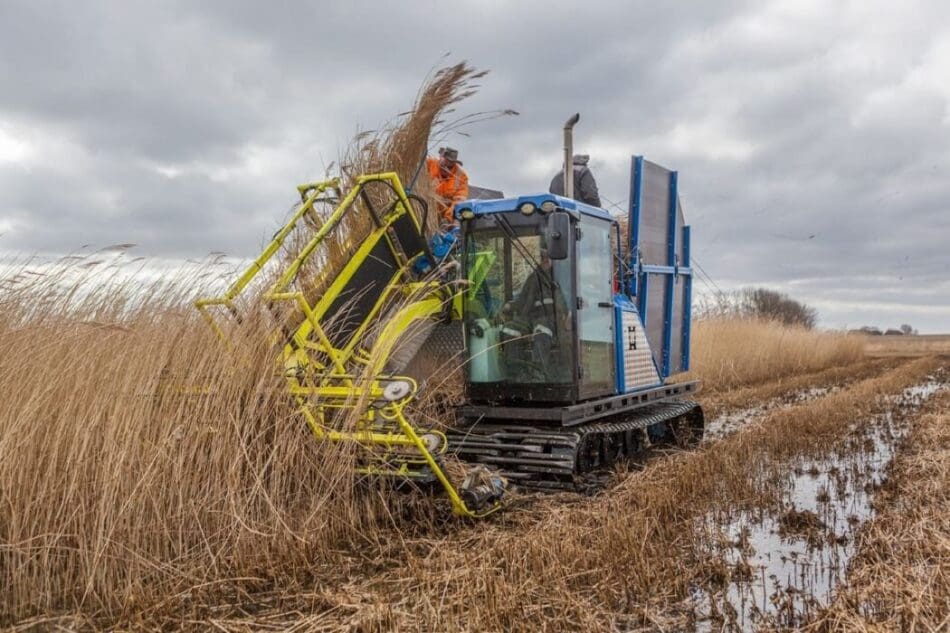 Image: Agronomic machine harvesting