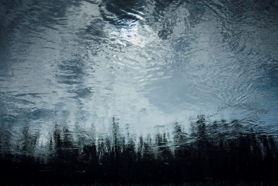 Image: Reflection of trees in pond