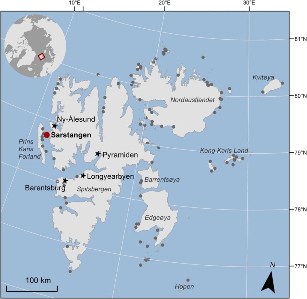 Map showing the Sarstangen walrus haul-out site, where RPAS and VHR satellite imagery were acquired (large red dot). Other known walrus haul-out sites are shown as small grey dots and human settlements are indicated by black stars. Basemap and walrus haul-out sites (s. walrus counts, Svalbard)