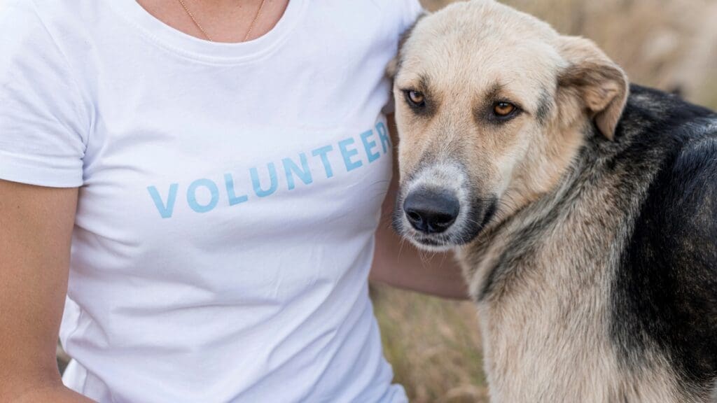 Image: person with dog