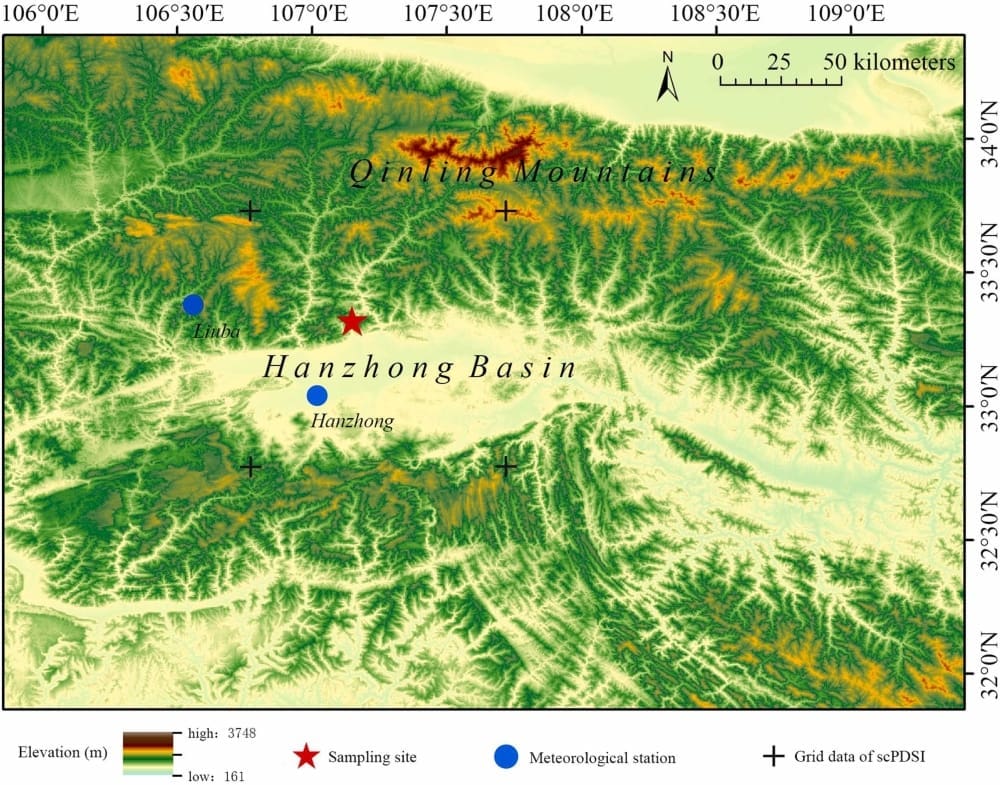 1 s2.0 S2351989424002038 gr1 lrg res