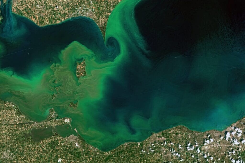 Half of world’s lakes are less resilient to disturbance than they used to be Satellite image: Lake Erie's Algae (s. climate, science, world lakes)