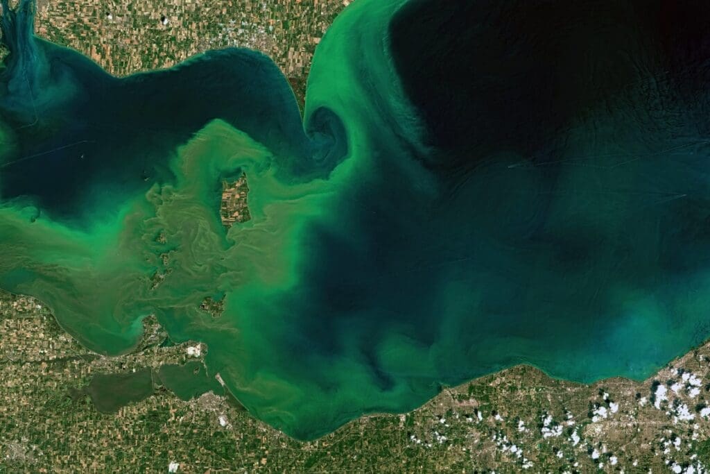 Satellite image: Lake Erie's Algae (s. climate, science, world lakes)