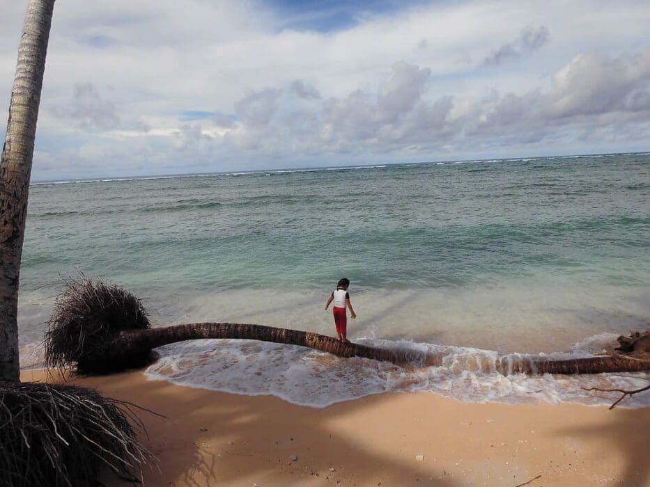 Image: ocean, climate change