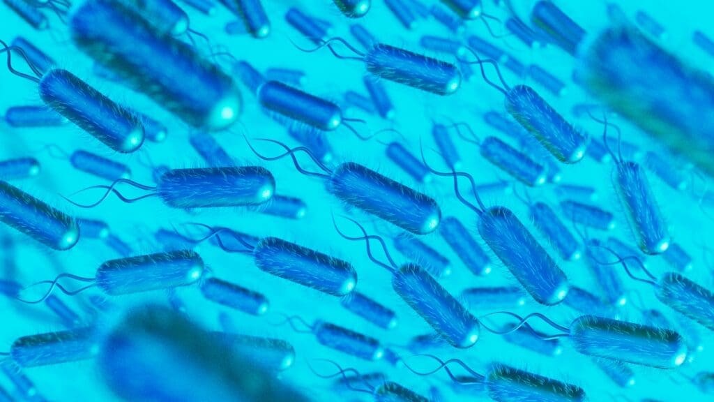 Soil bacteria respire more CO2 after eating non-sugar organic matter Image: Microscopic pathogens (3D art)