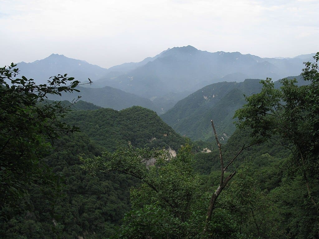 Climate Change Impacts Vary among Tree Species within the Same Habitat Qin Ling mountains 秦岭山 4820716352