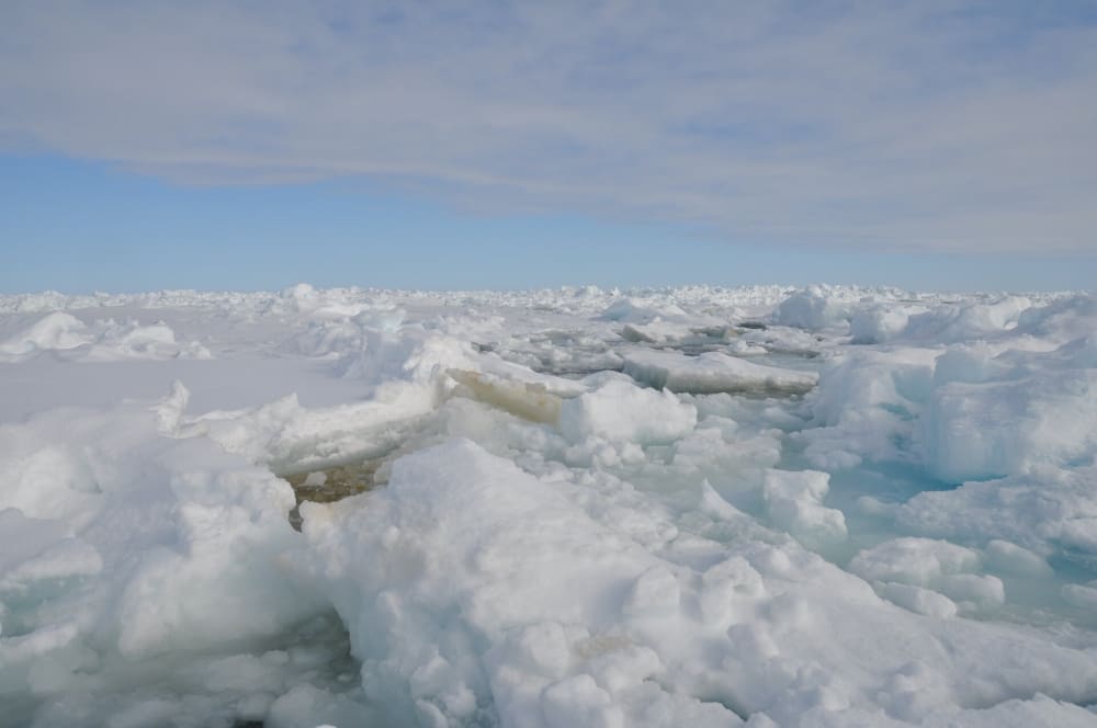 Arctic sea ice (climate effects)