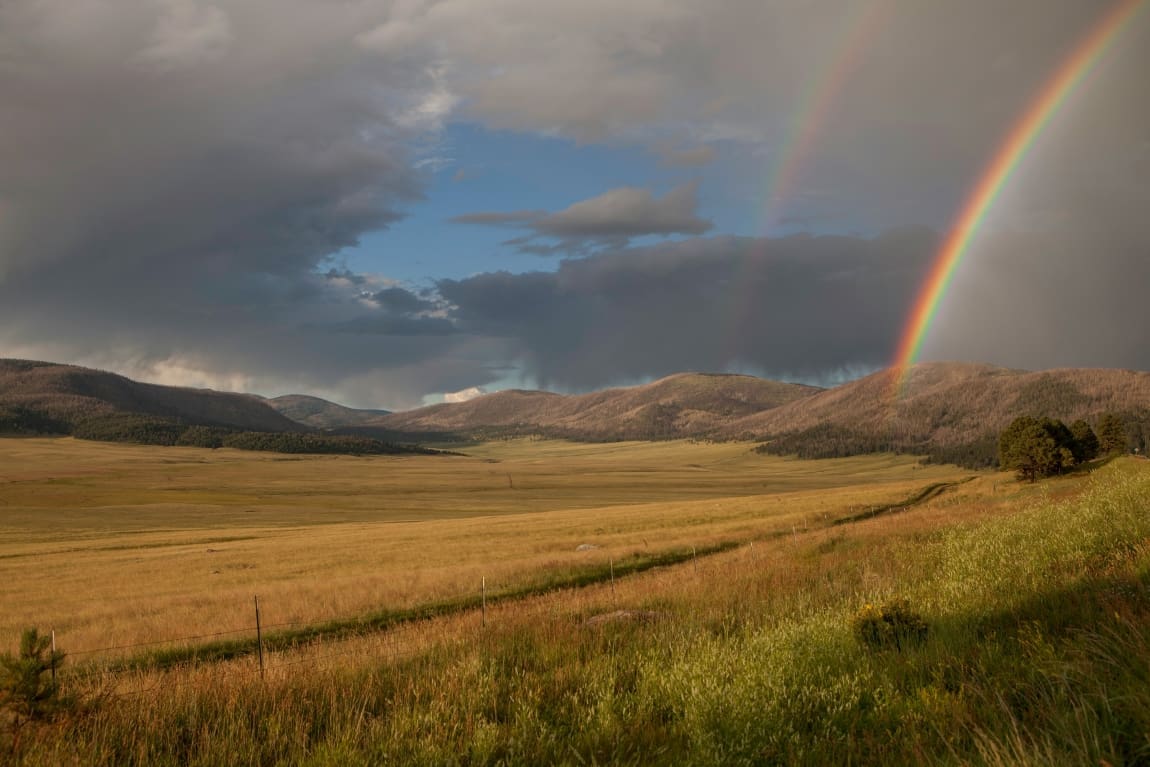 Public health beliefs predict support for climate action, study shows