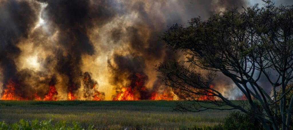 Wildfire smoke and health pexels alexandrep junior 12027865 res