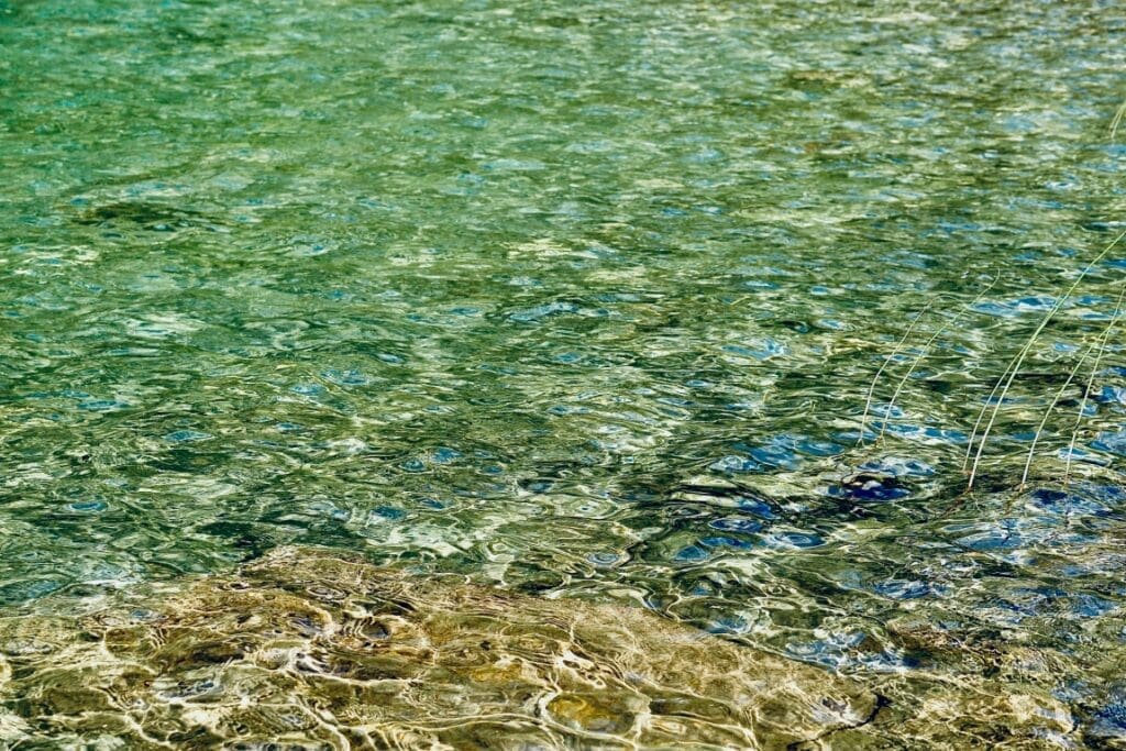 New discovery reveals unexpected ocean algae help cool the Earth pexels anna romanova 1406375 14462548 res