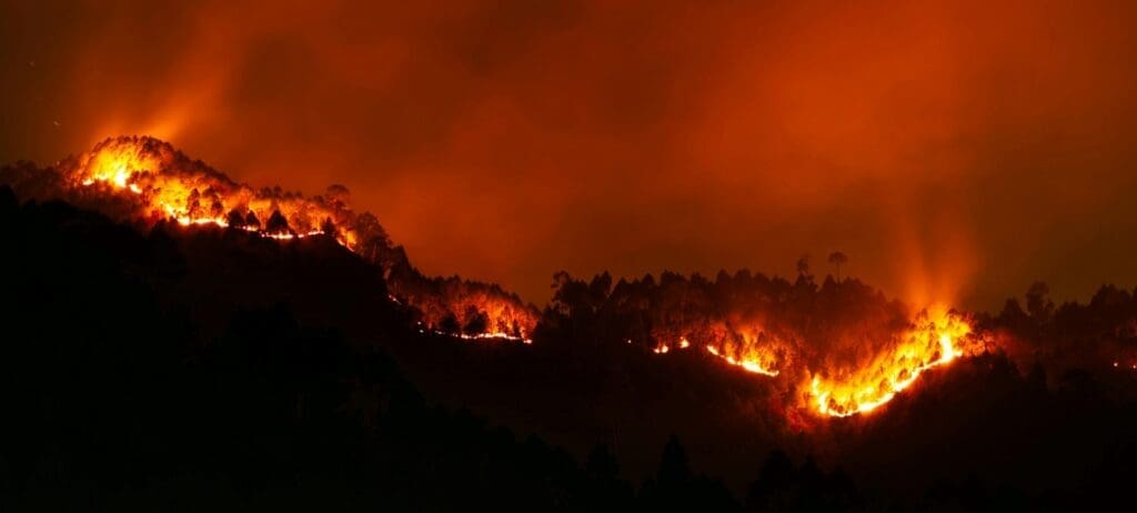 Large wildfires create weather that favors more fire pexels arnavkainthola 6352761 res