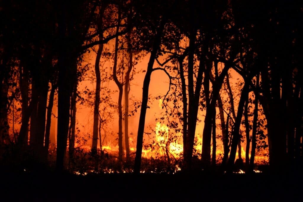 Fighting fires from space in record time: how AI could prevent a repeat of Australia’s devastating wildfires pexels deep rajwar 2308974 4621457 res