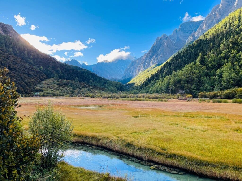 Image: Mountain Landscape with Forests and a Stream (s. ecotone, forest-grassland transition zone)