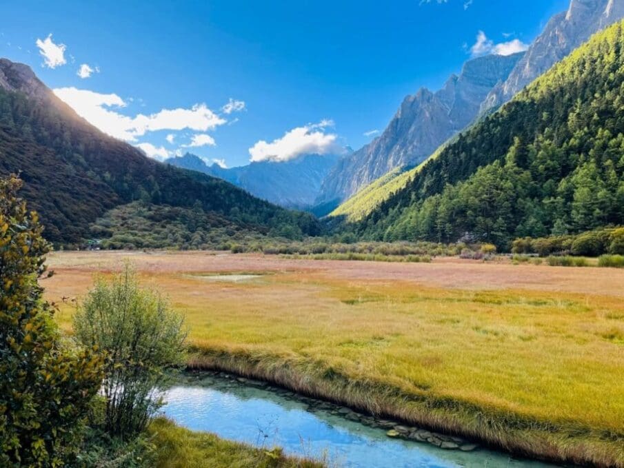 Image: Mountain Landscape with Forests and a Stream (s. ecotone, forest-grassland transition zone)