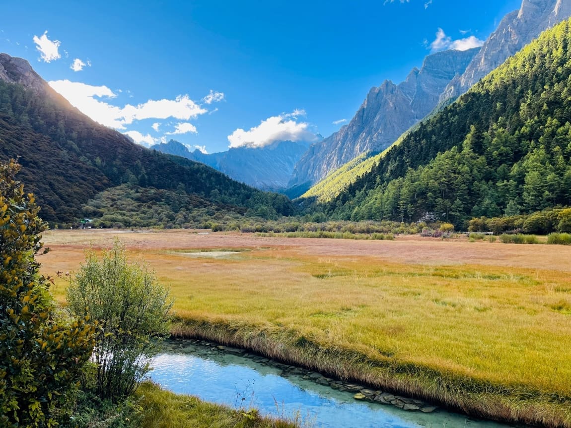 Study Reveals Shifting Landscape and Driving Forces in China’s Forest-Grassland Transition Zone