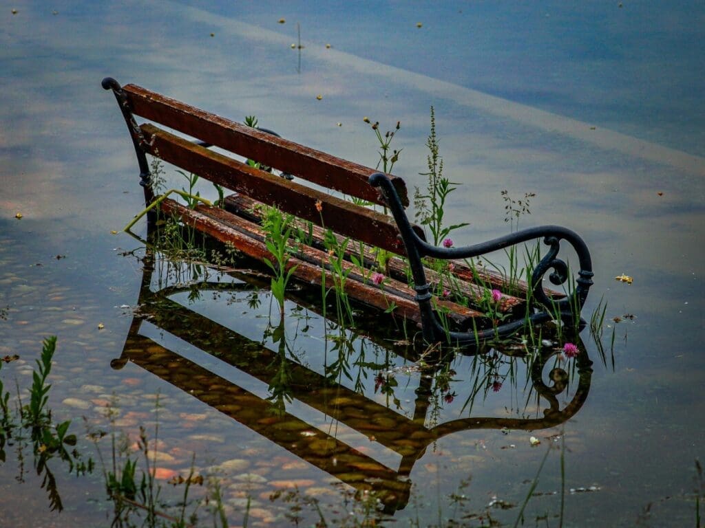 Climate Science Digest: June 6, 2025 Image: Bench, flood