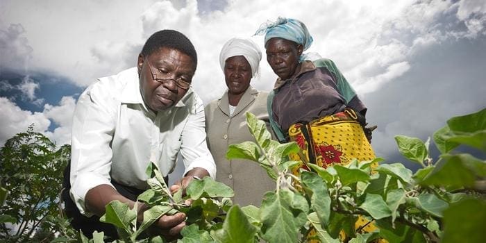 Most climate-vulnerable countries with highest hunger rates significantly under-represented in agrifood research Low Res linkedin cover