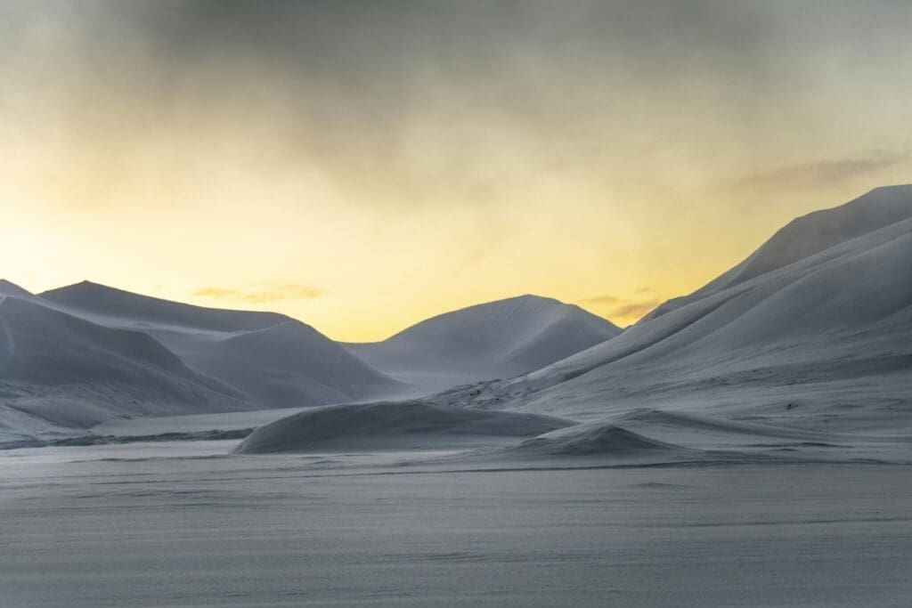 Retreating glaciers: fungi enhance carbon storage in young Arctic soils ana paula grimaldi cMg yeS2g6o unsplash res