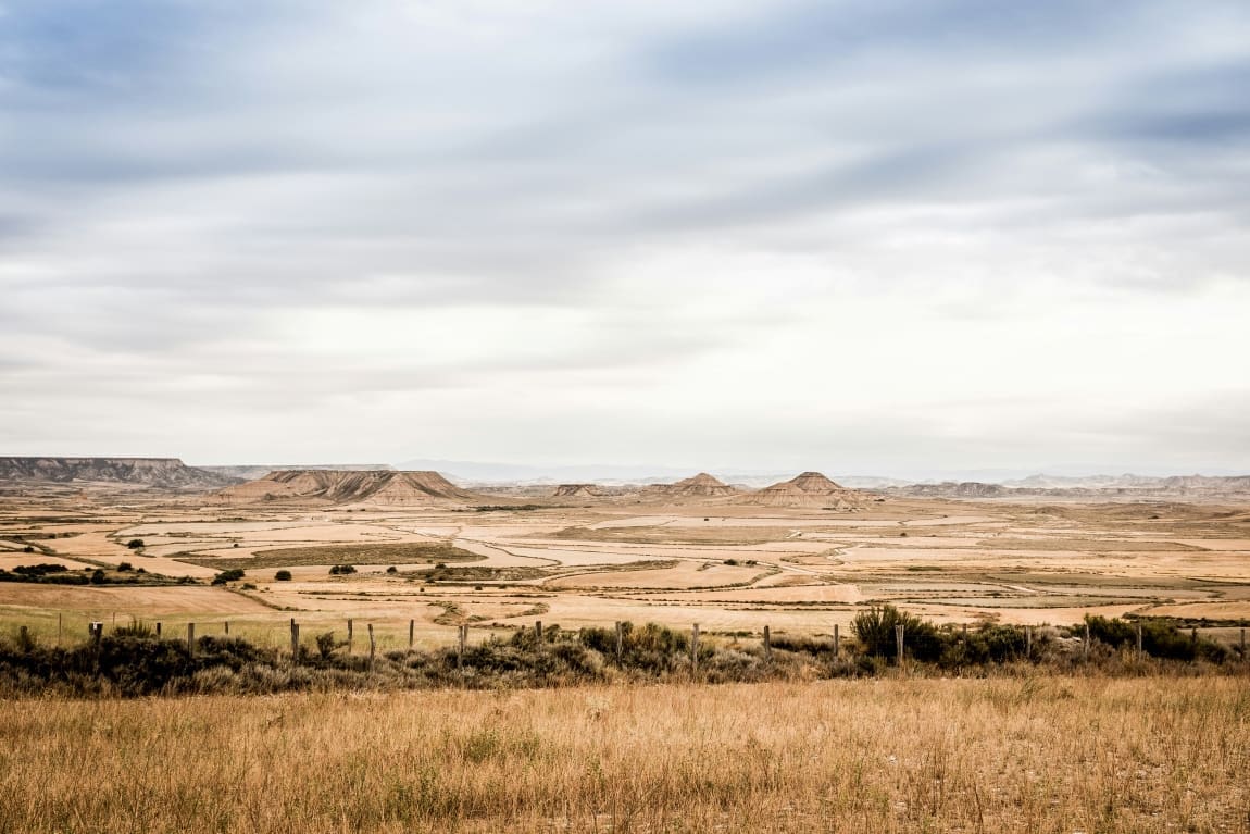 Natural drylands: under-protected and threatened by human activity