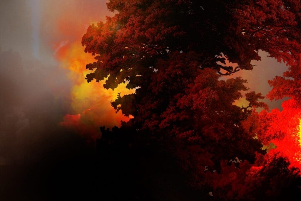 Extreme wildfires have doubled in just 20 years – here’s the science Image: Wildfire (s. forest, fire, climate)