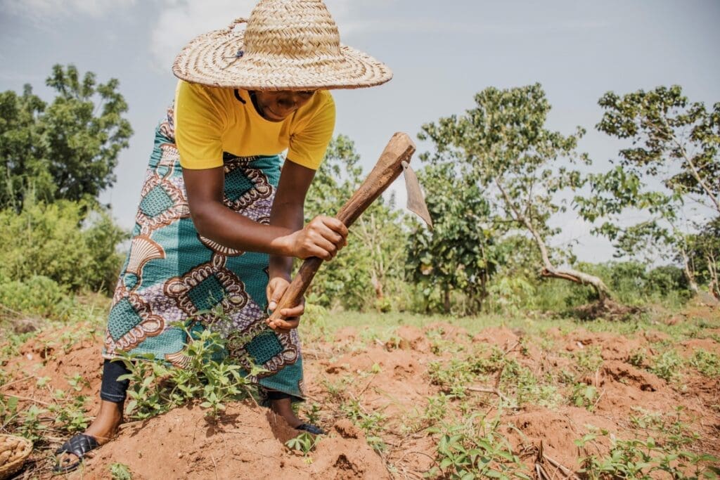 One in 11 people went hungry last year. Climate change is a big reason why countryside woman working field res