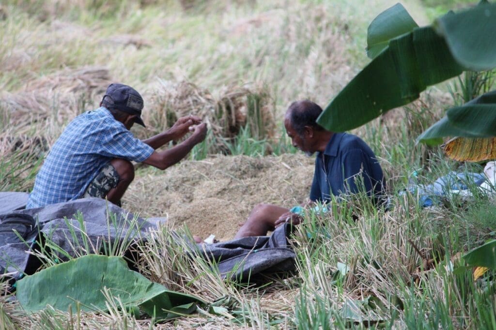 Older people are climate change's hidden victims d1383Menuggu di Ladang by MoFCREC Monash University Indonesia res