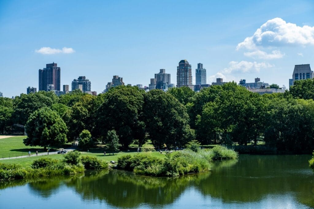 Study examines urban forests across the United States Image: a park with trees and a body of water with a city in the background