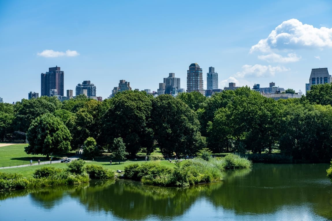 Study examines urban forests across the United States