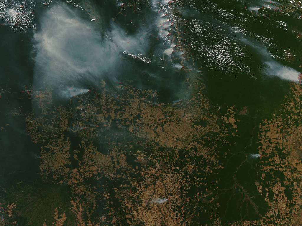 Satellite image: Image: Wildfire (s. forest, fire, climate)