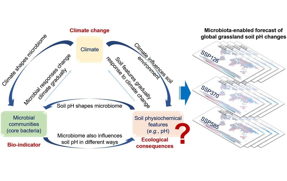 Image: Graphical abstract (s. soil pH, climate change)