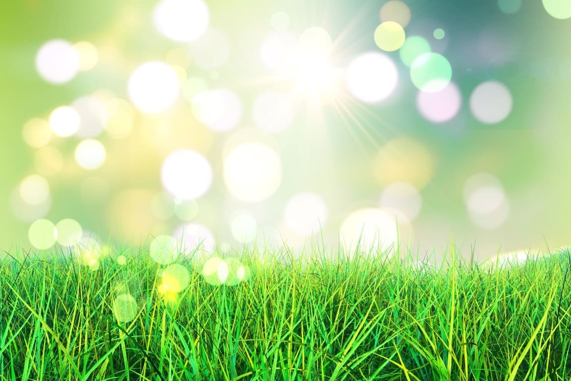 Exploring the Win-Win Potential of Grass-Powered Energy